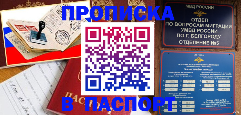 купить прописку в Щиграх